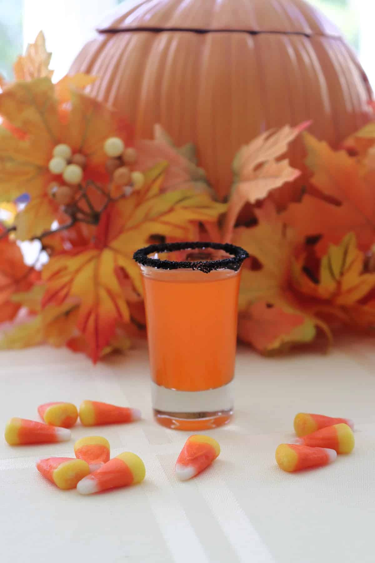 A shot glass rimmed with black sugar filled with orange candy corn vodka.