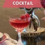 Raspberry Vodka Cocktail Pinterest image.