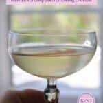 Saketini Pinterest image.